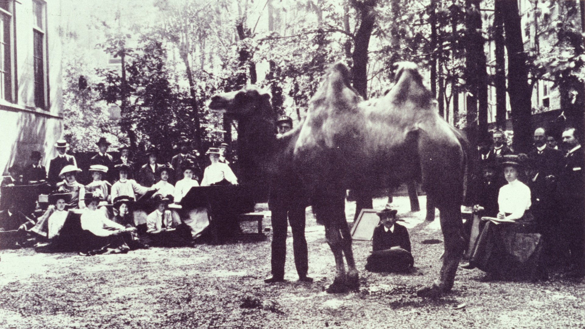 Tekenles-in-de-tuin-van-de-Rijksakademie-met-een-kameel-uit-Artis-ca-1907-1908 (3) (1).jpg