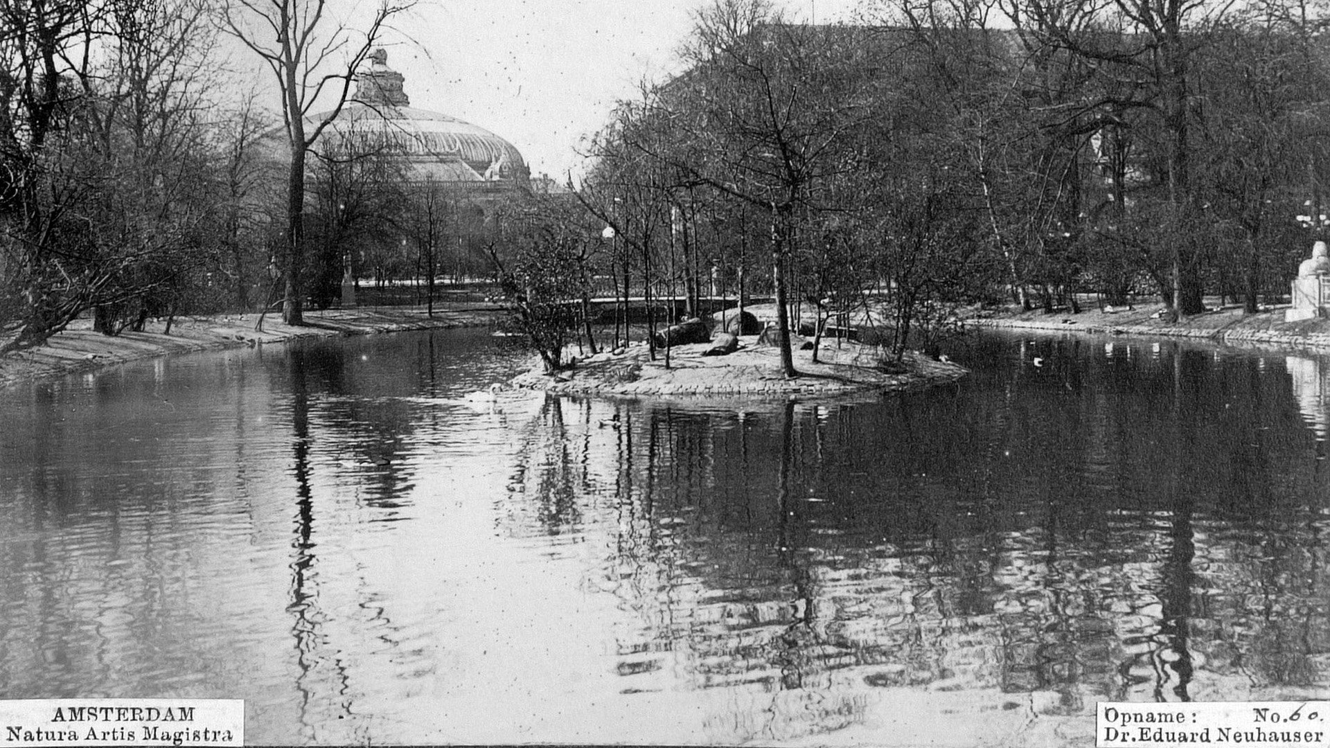 Panoramagebouw ca 1913 gezien vanaf Artis vijvers.jpg