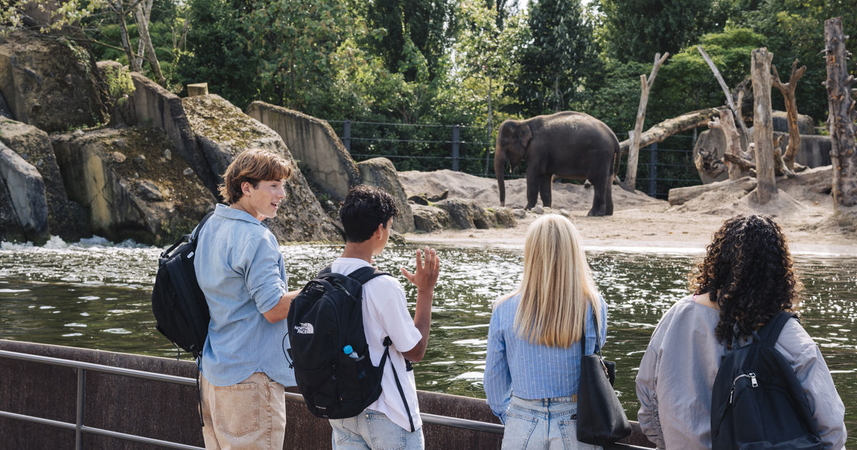 Hoe werkt de Uitpas-korting bij ARTIS?