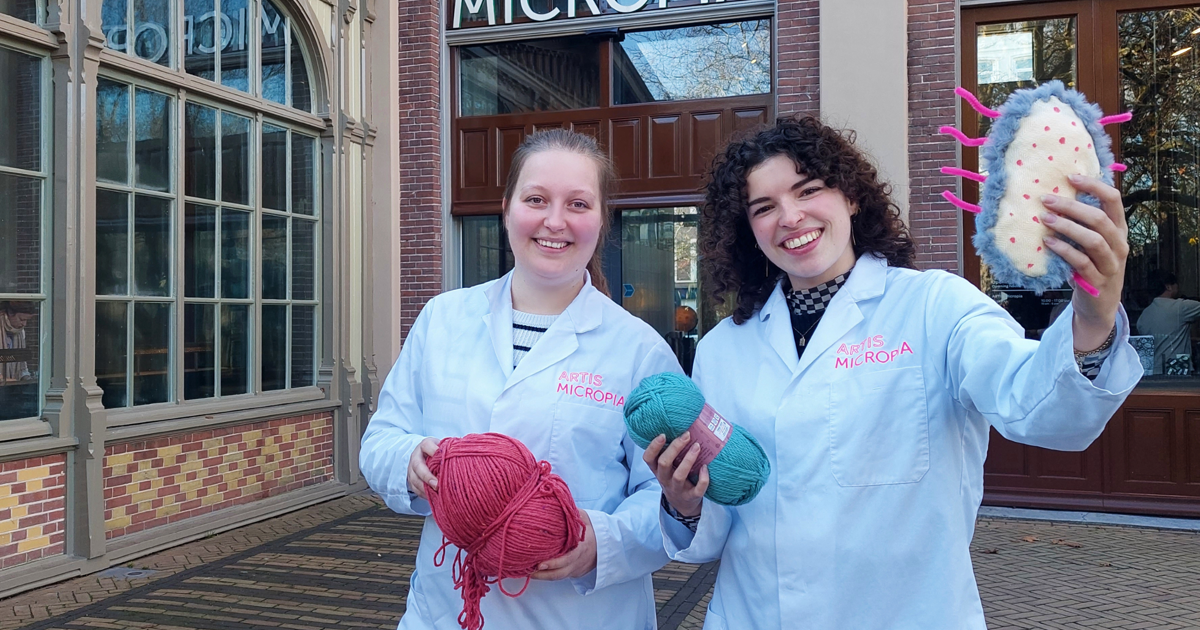 Maak je eigen microben knuffel in ARTIS-Micropia – Workshop in de